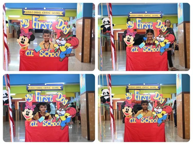 Ktc mccs (4)