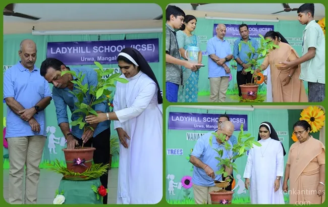 Ktc ladyhill icse (12)