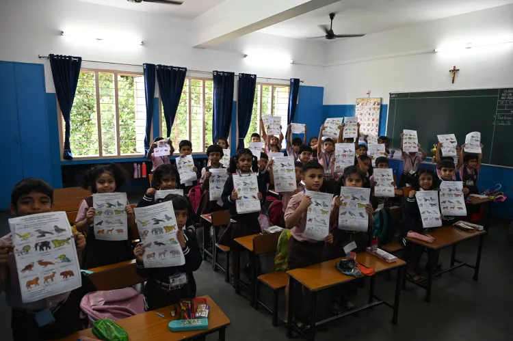Ktc lcs (12)